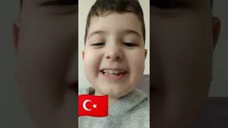 Türkiye Resimi
