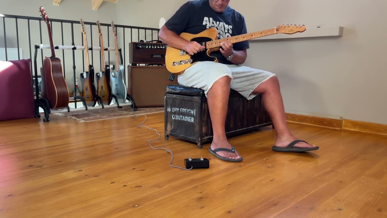 Rutters T Telecaster / Tony Bruno S100