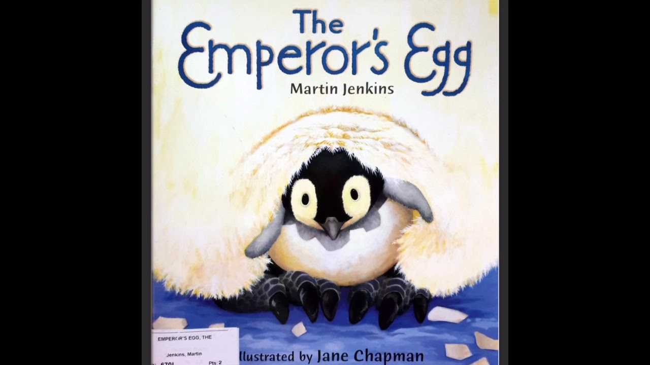 An Emperor’s Egg by Martin Jenkins - Story time 1 with Mrs Peacock ...