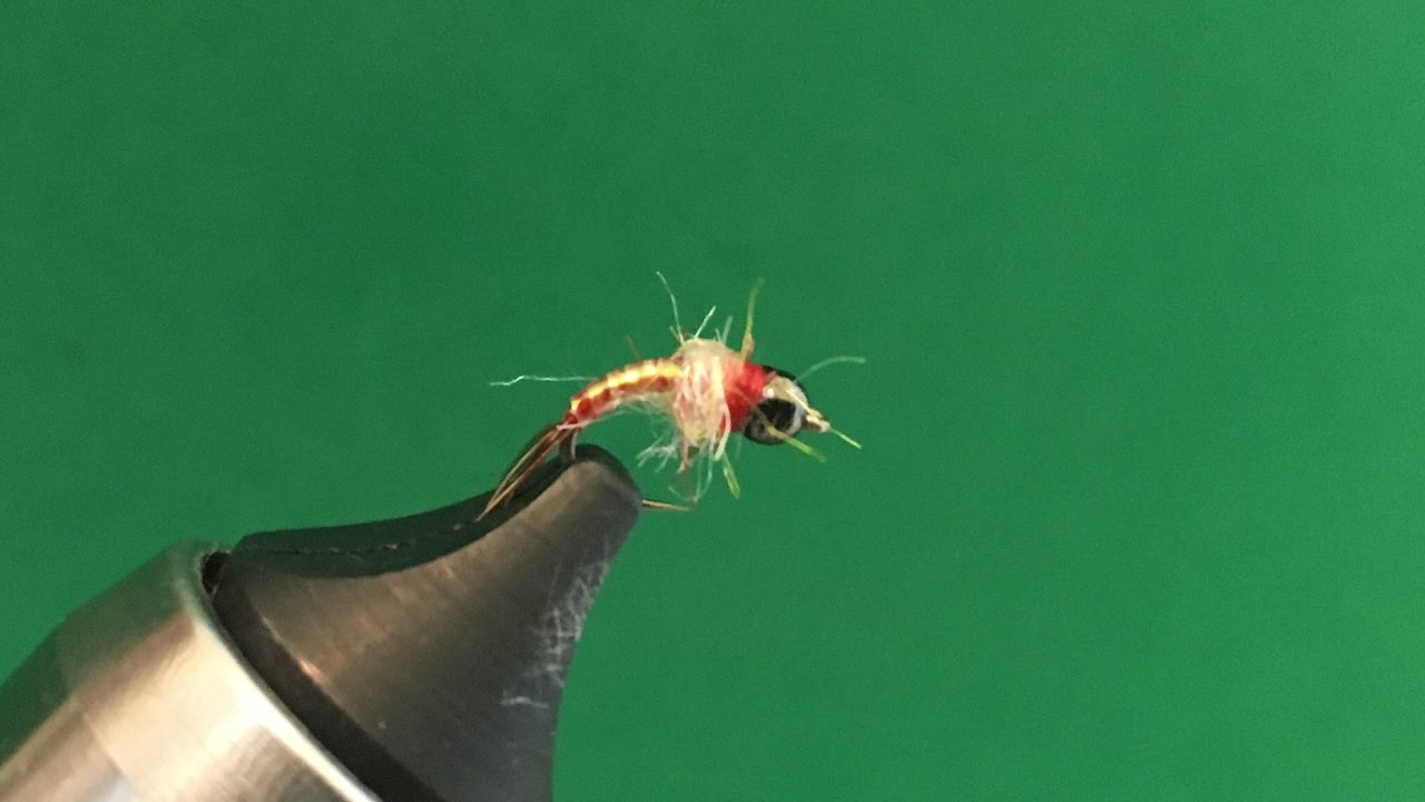 Fly Tying "Rainbow Warrior"