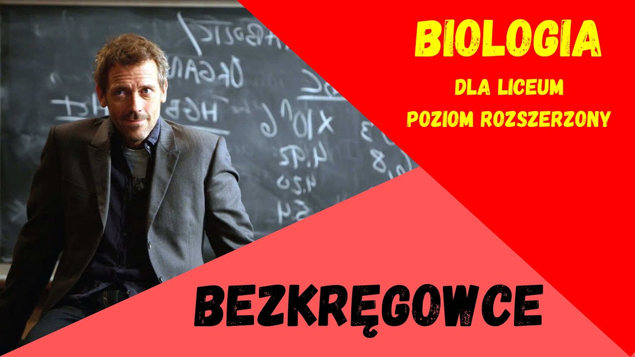 Bezkręgowce. Biologia rozszerzona do matury. - YouTube