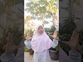 #youtubeshorts #harusberanda #month #trendingshorts #trending