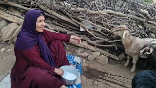 Last day at home; eviction order for nomadic families implemented