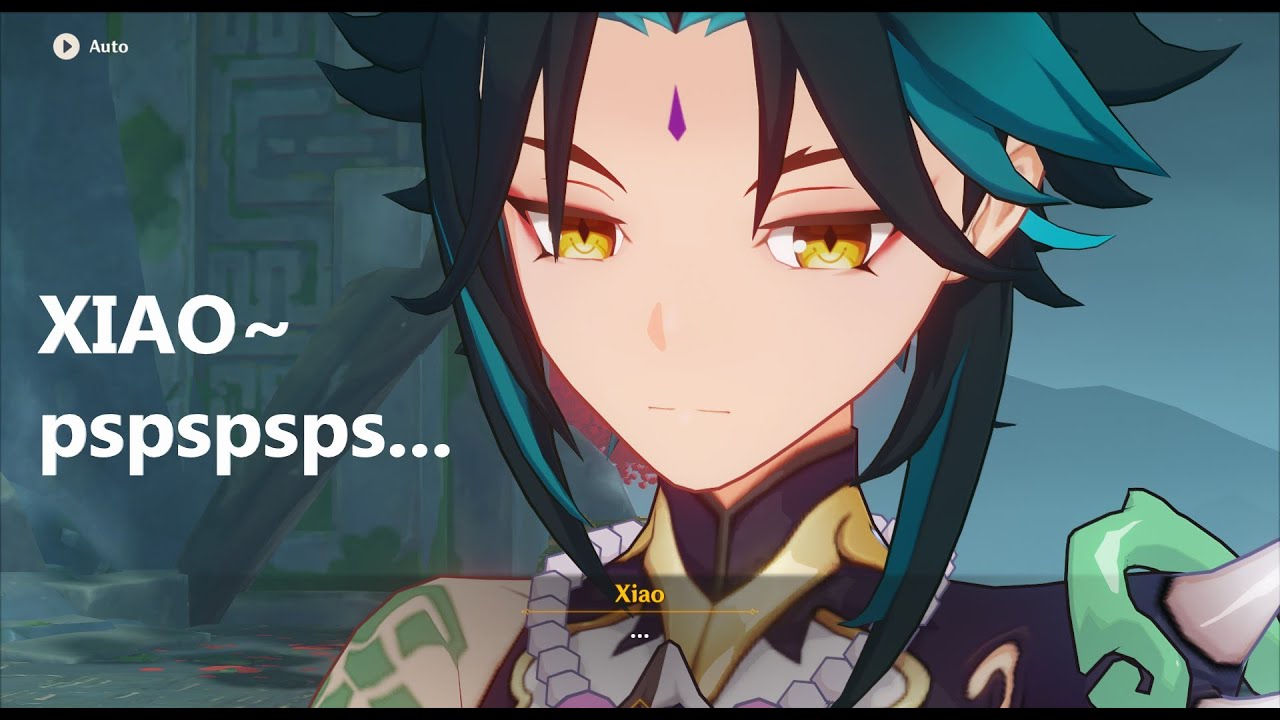 MY PREPARATION FOR XIAO RERUN AS AN F2P | PJWS