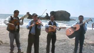 CIMG0823.AVI