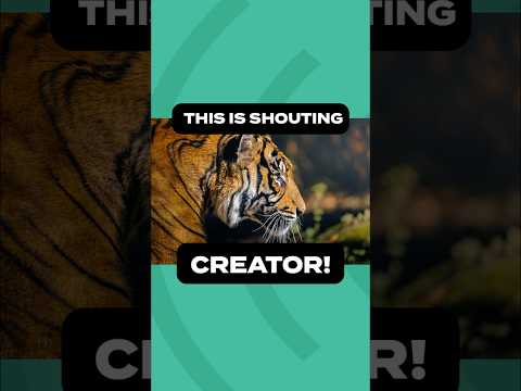 This is Shouting CREATOR!