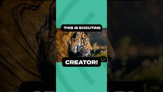 This is Shouting CREATOR!