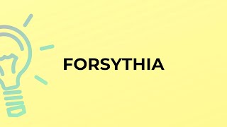 What is the meaning of the word FORSYTHIA?