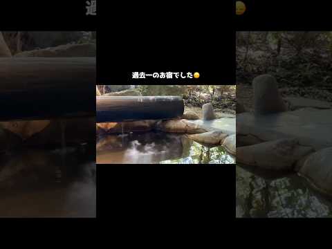 岐阜ショート~旅館編♨️~ #岐阜旅行 #隠庵ひだ路 #飛騨高山 #shorts