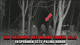 Download Lagu HOROR‼️ADA SUARA SEKELOMPOK BAYI BAJANG TEREKAM JELAS DI KAMERA CCTV, FIX MENGERIKAN #cctv #horror  MP3