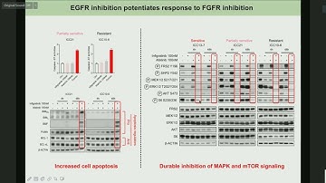 AC22 - Explore Signaling Pathways and Combination Therapy in FGFR2-activated Cholangiocarcinoma