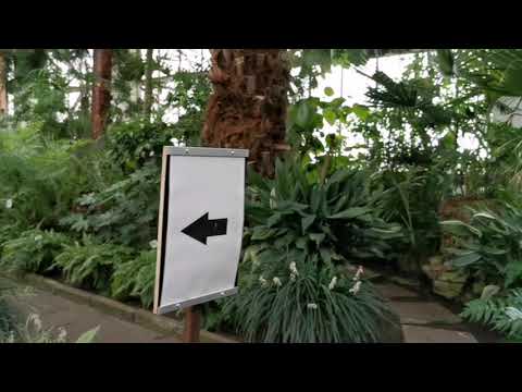 Video: Botanical garden (Botaniskais darzs) description and photos - Latvia: Riga