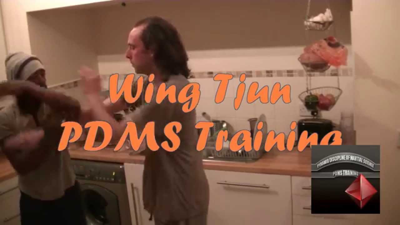 Wing Tjun PDMS Training
