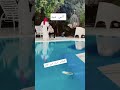 كواليس احباب النبي الغالي Shortsfeed اكسبلور Haveitoldyoulatelythatiloveyou انس سيد لايك 