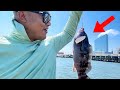 Atlantic City Fishing JACKPOT - Keeper Blackfish and Flounder Success - New Jersey