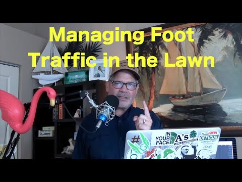 How to Keep a Thick Lawn with Foot Traffic | Managing Foot Traffic in Lawn