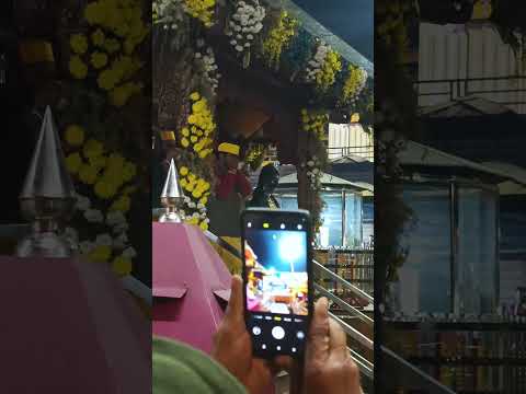 Jai Maa baglamukhi