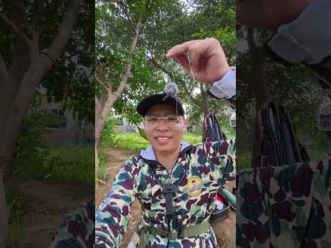 Tập 55 | Câu cá sông tự nhiên