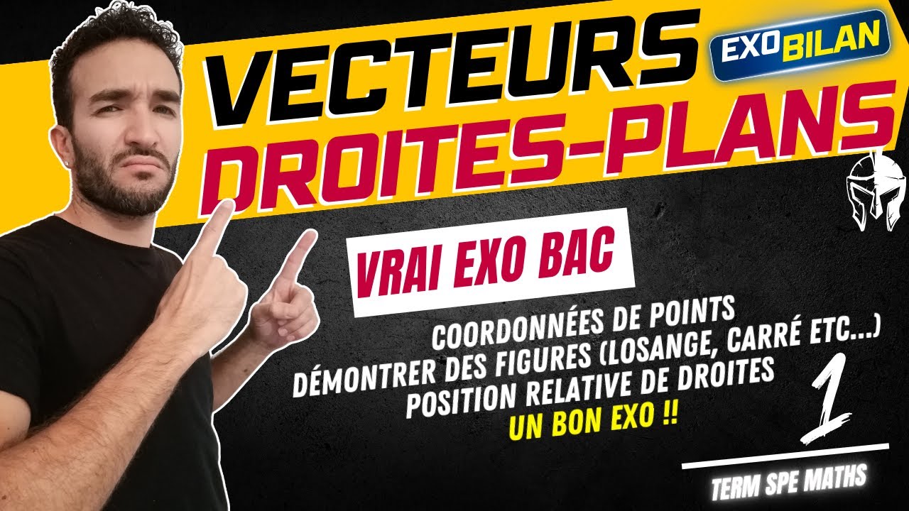 [TERM SPÉ MATHS] VECTEURS DROITES ET PLANS / EXERCICE BAC CORRIGÉ 🐱‍👤🎯 CUBE VECTEURS DÉMO ... #1