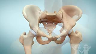 Pediatric Hip Arthroscopy At Childrens Healthcare Of Atlanta