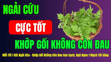 Mỗi Tối 1 Bát Ngải Cứu – Khớp Gối Không Còn Đau Gan Sạch, Ngủ Ngon 1 Mạch Tới Sáng