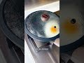 煎个蛋，不需要任何技术含量，邪修修炼就是快！ #food #水果茶 #cooking thumbnail