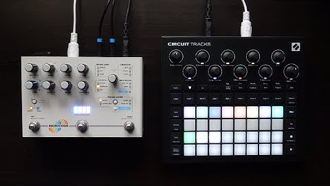 Interrupt effects (Microcosm) on Circuit Tracks