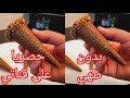 جديد حلويات 2025 الحلوى راح ديرو بيها حالة فلعيد فرينة بيض مرغرين بدون طهي في نص ساعة توجدي جديد حلويات 2025 الحلوى راح ديرو بيها حالة فلعيد فرينة بيض مرغرين بدون طهي في نص ساعة توجدي