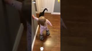 Try Not To Laugh At These Cats#Shorts #FunnyCat #CatFails #NoNarration #PetCompilation
