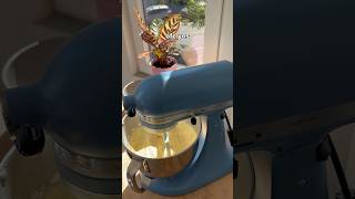 Bake, eat, repeat 🙈🌷 #baking #baketok #lemoncake #kitchenaid #cake
