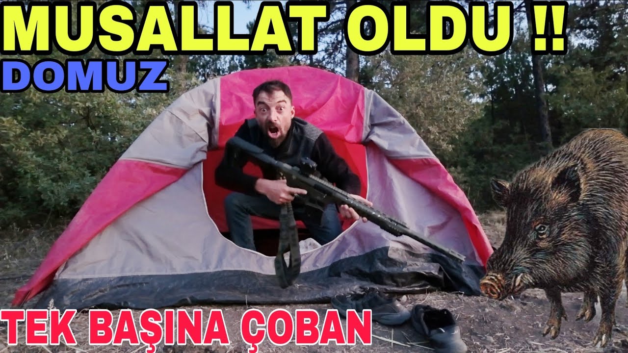 DOMUZ BAŞIMIZA BELA~ARIZA VAR!!BİR CİVATA BİR GÜNÜMÜZÜ BİZDEN ALDI