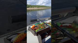 На Просторах Реки Вычегда, Рыбалка С Лодки #Shorts