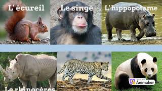 LES ANIMAUX SAUVAGES, Vocabulaire thématique, FLE