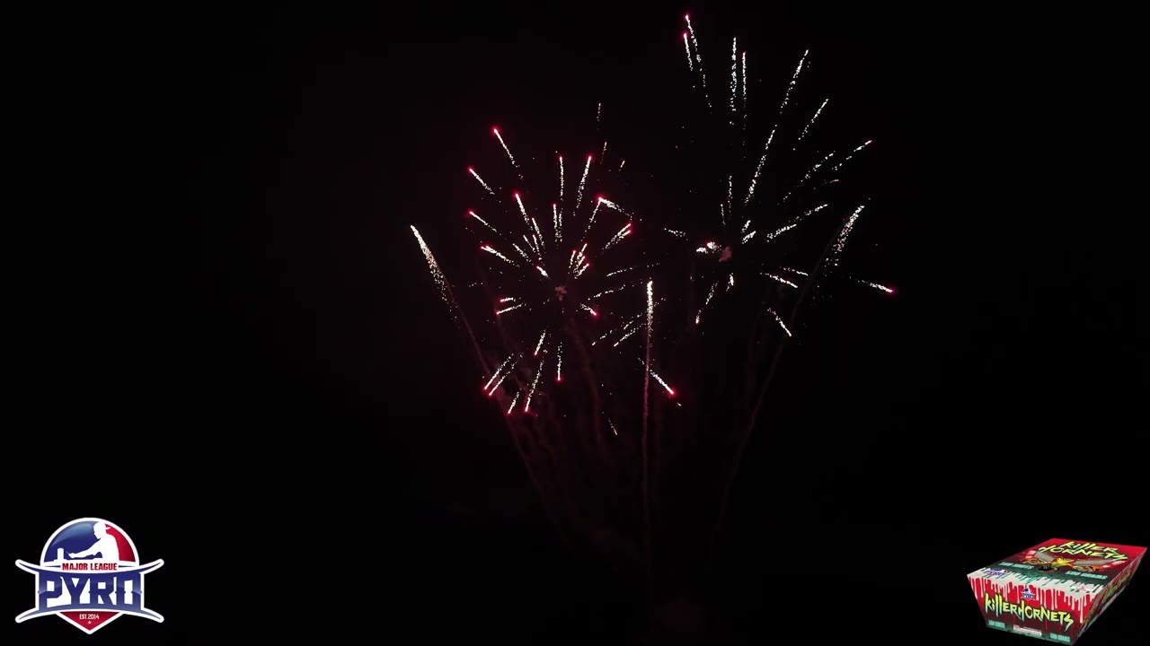 100296 Killer Hornets