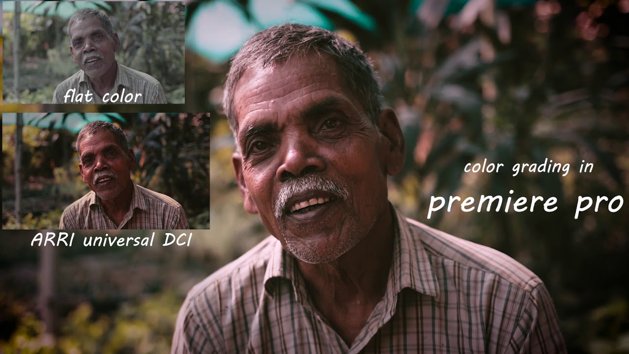 canon 80d color grading on premiere pro.