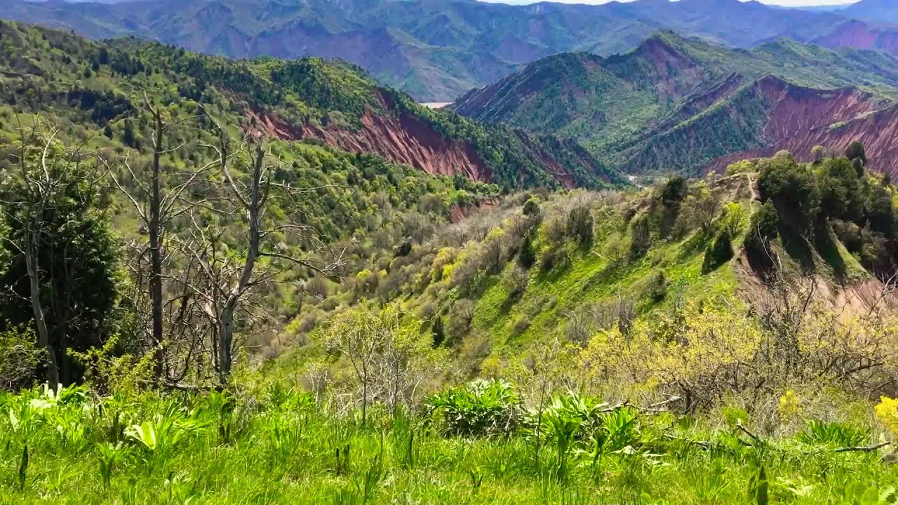 Погода сари хосор. Долина Сари хосор. Сари хосор Таджикистан. Сари-Хосорский природный парк. Сари хосор 2020.