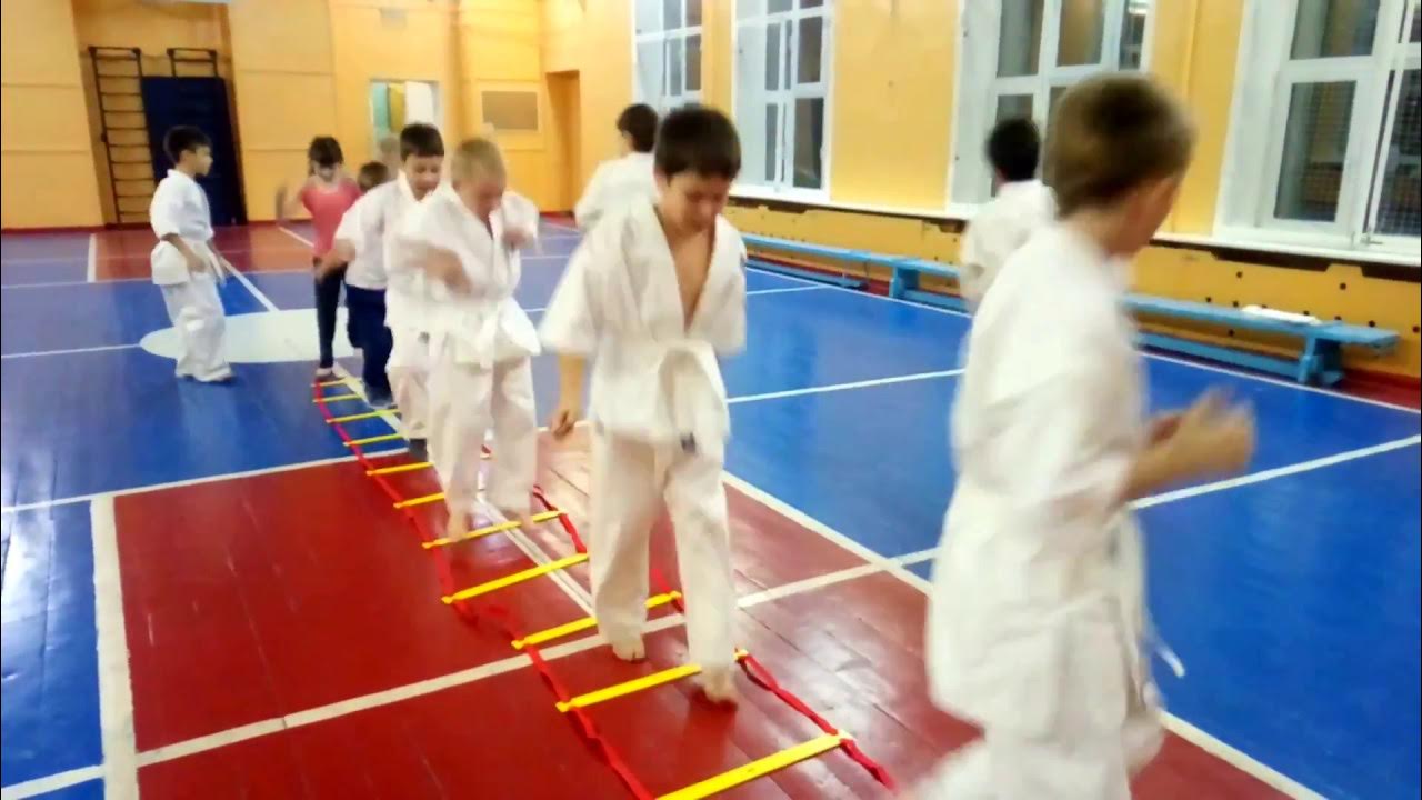 Офп карате. Тренировка по тхэквондо. Уфимец тхэквондо уфа. Алькор барнаул тхэквондо. Физическая подготовка каратистов.