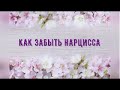 Как забыть нарцисса