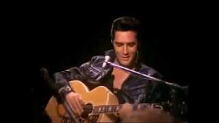 Elvis Presley   Heartbreak Hotel   Show acústico chords