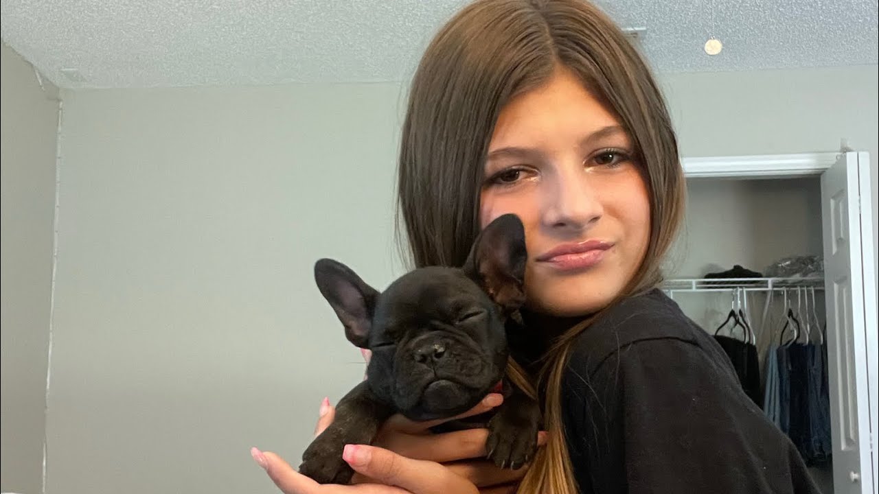 Giving Fiona my French bulldog a bath YouTube