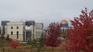 A Brother taking the Shahadah