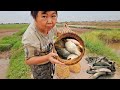Amazing that the boy has the ability to trap fish - grilling them to eat right away.