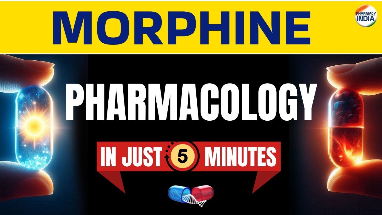 Фармакология морфина | Побочные эффекты | Применение | Механизм действия через 5 минут 