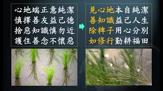 惟智薰法香心得20210329 靜思法髓妙蓮華713集