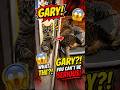 Animal Voice Over #4 Gary #viral #viralshorts #voiceover #voiceovershorts #funny #funnypets#cat #uk