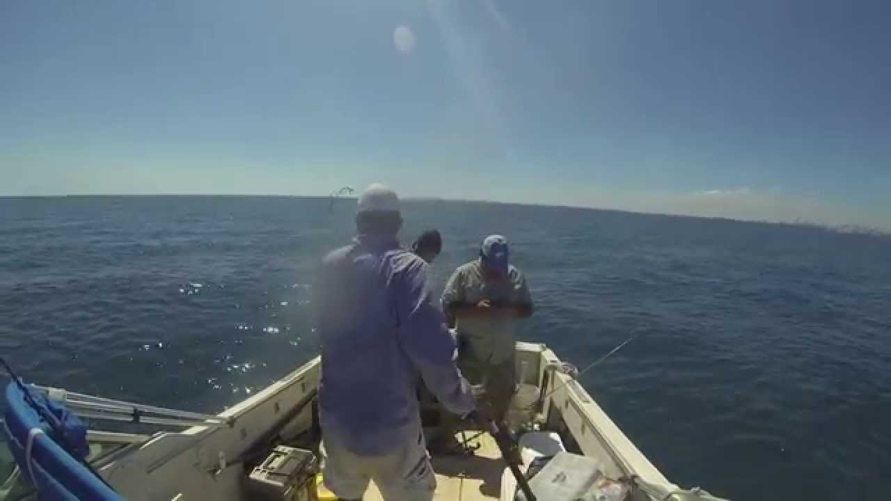 Reporte de Pesca