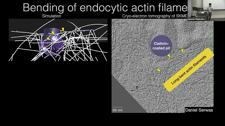 FYIM V, Aug 19, 2022. Matthew Akamatsu & Eran Agmo...