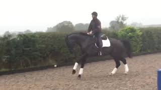 G Star flatwork and jump