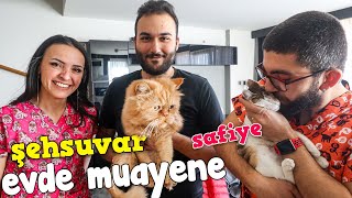 MuratAbiGF ve Kedileri | Şehsuvar Safiye | Evde Muayene