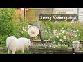 【Life, Slowly — Countryside】 Among blooming days. — (Relaxing Playlist Music for Stress Relief)